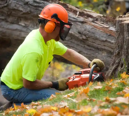 tree services Lincoln Heights